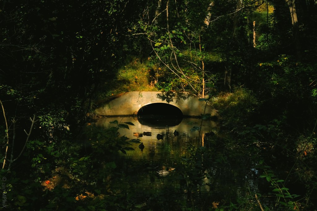 gunners-lake-creek-mouth_mphix